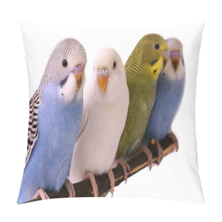 Personality  Budgie Pillow Covers