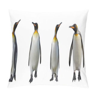 Personality  King Penguins Isolated Pillow Covers
