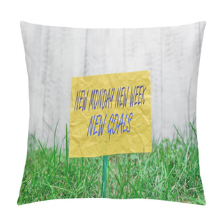 Personality  Word Writing Text New Monday New Week New Goals. Business Concept For Showcasing Next Week Resolutions To Do List Plain Empty Paper Attached To A Stick And Placed In The Green Grassy Land. Pillow Covers