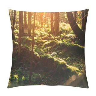 Personality  Beautiful Dense Forest In Landscape Mountains. Light Running Through Fir Forest At Dawn Or Sunrise. Lifestyle Wanderlust Adventure And Travel Pillow Covers