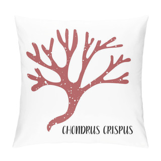 Personality  Chondrus Crispus. Edible Seaweed. Red Algae Or Rhodophyta. Sea Vegetable. Vector Flat Illustration, Isolated On White Pillow Covers