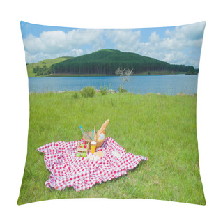 Personality  Great Concept Of Pic-nic, Pic-nic With Fruits And Juice On Green Lawn With Beautiful View Pillow Covers
