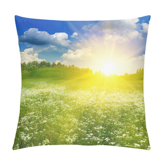 Personality  Beauty Summer Field Under Bright Evening Sun, Natural Background Pillow Covers