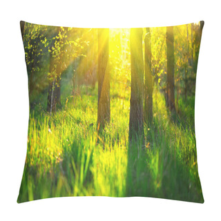 Personality  Spring Nature Scene. Beautiful Landscape. Park With Green Grass  Pillow Covers