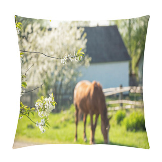 Personality  Rural Landscape. Branches Of Cherry Blossoms In The Foreground And A Blurry Image Of A Rural House And A Grazing Horse.Selective Focus On Flowering Tree. Pillow Covers
