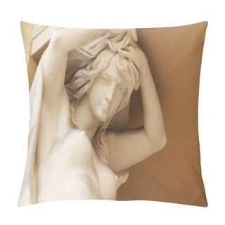 Personality  The Goddess Of Love Aphrodite (Venus) Pillow Covers