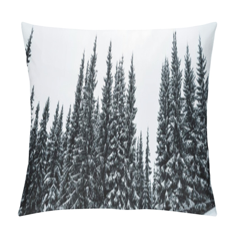 Personality  scenic view of pine forest with tall trees covered with snow on hill, panoramic shot pillow covers