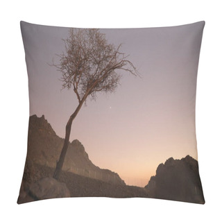 Personality  Bended Crooked Tree Silhouette In Deserted Rocks In Crimson Colored Sunrise .. Pillow Covers