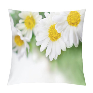 Personality  Beautiful Chamomile, Argyranthemum, Chrysanthemum Flowers On Top In Corner. Spring Or Summer Nature Scene With Blooming Daisy In Sunny Day. Copy Space Pillow Covers