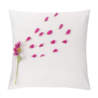 Personality  Pink Flower And Petals Pillow Covers