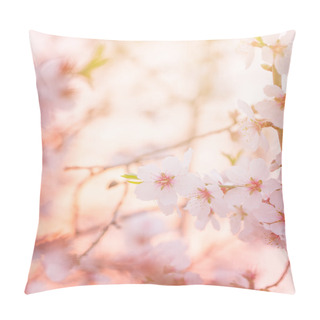 Personality  Spring Blooming Tree Dreamy Sunny Background Pillow Covers