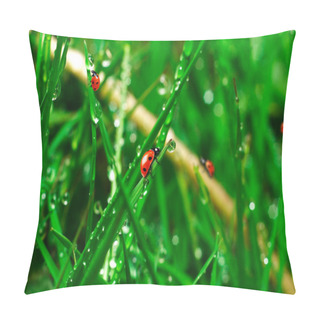 Personality Ladybugs On Green Grass Pillow Covers