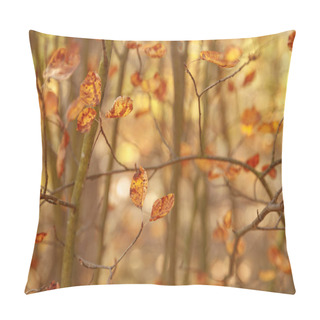 Personality  Selective Focus Of Trees With Yellow Leaves In Autumnal Park At Day  Pillow Covers