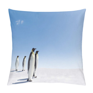 Personality  Cute Penguins At Wild Nature Pillow Covers