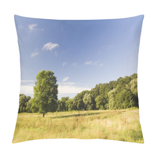 Personality  Lonely Tree On A Meadow Pillow Covers