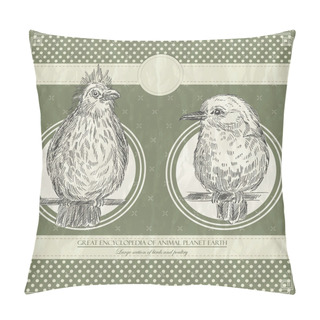 Personality  Great Encyclopedia Of Animal Planet Earth, Vintage Birds Illustration Pillow Covers