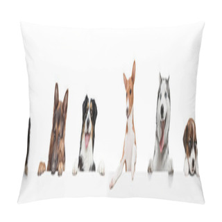 Personality  Group Of Five Different Purebred Dogs Sitting Isolated Over White Studio Background. Collage Pillow Covers