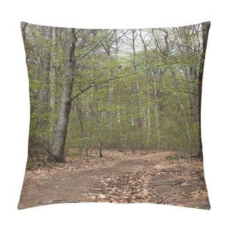 Personality  Pathway With Dry Leaves In Forest In Spring  Pillow Covers