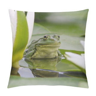 Personality  Marsh Frog Among White Lilies Pillow Covers