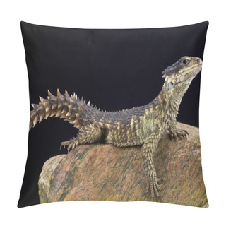 Personality  The Sungazer (Smaug Giganteus) Is A Prehistoric Looking Lizard Species Endemic To South Africa. Pillow Covers