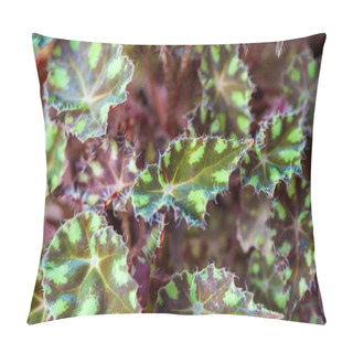 Personality  Tolmiea Menziesii Pillow Covers