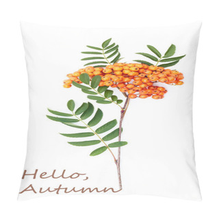 Personality  Hello Autumn Writing With Branch Of Rowan, Ash Berries Isolated On White Background, Autumn Concept, Vertical, Copy Space, Flat Lay, Top View Pillow Covers