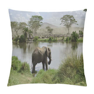 Personality  Elephant In River In Serengeti National Park, Tanzania, Africa Pillow Covers