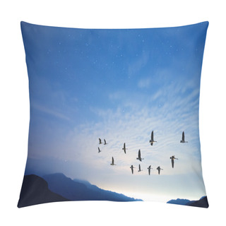 Personality  Beautiful Sky On Sunset Or Sunrise With Flying Birds Natural Bac Pillow Covers