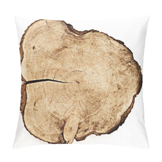 Personality  Tree Trunk Cut Pillow Covers