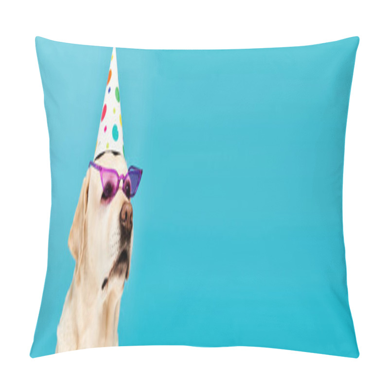 Personality  A Dog Exudes Style And Fun While Donning A Festive Party Hat And Fashionable Sunglasses In A Studio Setting. Pillow Covers