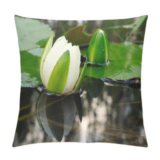 Personality  Wonderland - Blooming Water Lily Pillow Covers
