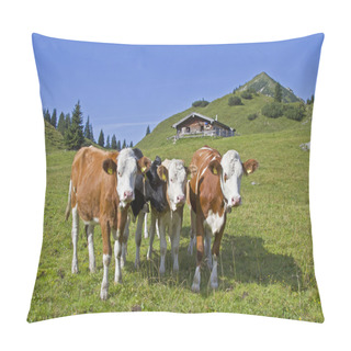 Personality  Summer In The Mountains Pillow Covers