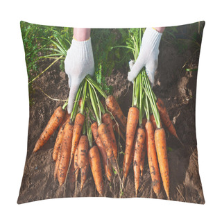 Personality  Harvesting Carrots Pillow Covers