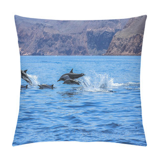 Personality  Dolphins Jumping Mexico Pillow Covers
