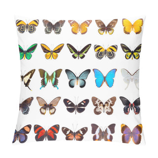 Personality  Set Of Beautiful Butterflies  Pillow Covers