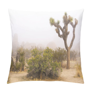 Personality  Foggy Spring Day At Joshua Tree National Park Pillow Covers