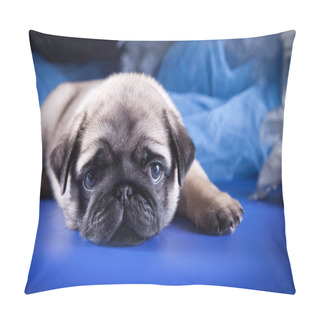 Personality  Pug Puppy Dog Pillow Covers