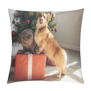 Personality  Funny Welsh Corgi Dog And Scottish Fold Cat On Gift Box Near Christmas Tree Pillow Covers
