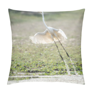 Personality  A Great Egret Taking Flight From A River In The Early Morning Light. Pillow Covers