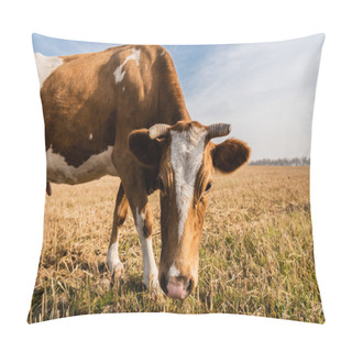 Personality  Selective Focus Of Bull With Horns Standing On Field Against Blue Sky Pillow Covers