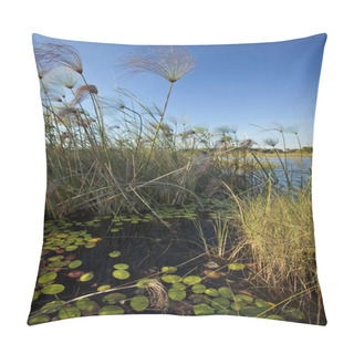 Personality  Okavango Delta - Botswana Pillow Covers