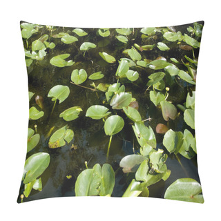 Personality  Water Hyacinth Pillow Covers