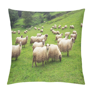 Personality  Flock Of Sheep Pillow Covers