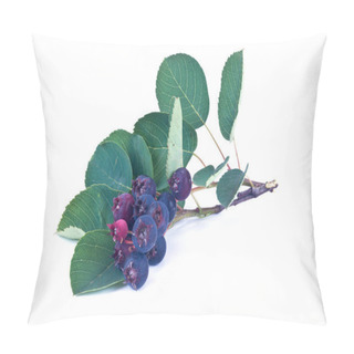 Personality  Ripe Berries Of Plant  Irga  Pillow Covers