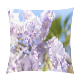 Personality  Wisteria, Always So Spectacular. Pillow Covers