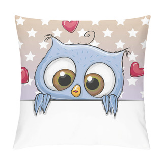Personality  Cute Cartoon Owl Girl Is Holding A Placard Pillow Covers