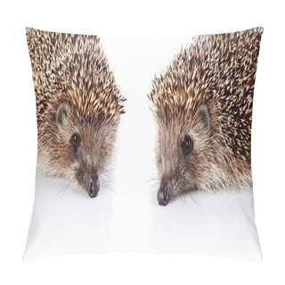 Personality  Two Forest Prickly Hedgehogs On A White Background. Pillow Covers