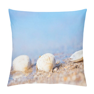 Personality  Seashells On A Sand Shore Of Black Sea Beach In Waves Against Light Blue Clear Sky On A Sunny Summer Morning, Bright Bokeh Pillow Covers