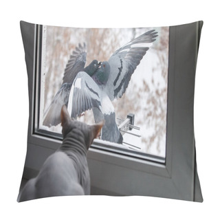 Personality  Don Sphynx Cat Looks Out The Window At The Kissing Pigeons. Two Gray Rock Doves (Columba Livia) With Spread Wings Connected With Their Beaks. Pillow Covers