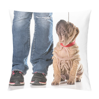 Personality  Dog Training Pillow Covers